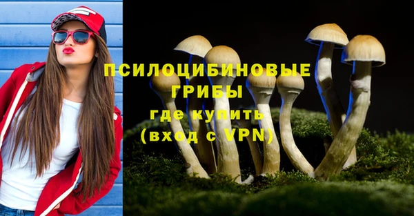 apvp Баксан